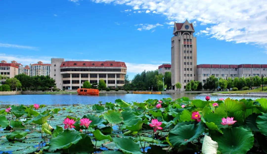 图片[1]-2022 Shanghai Normal University Chinese Government Scholarship - China Scholarship - Study in China-China Scholarship - Study in China