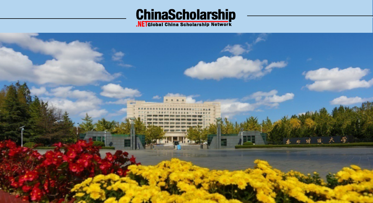 2022 DUFE International Chinese Language Teachers Scholarship-China Scholarship - Study in China