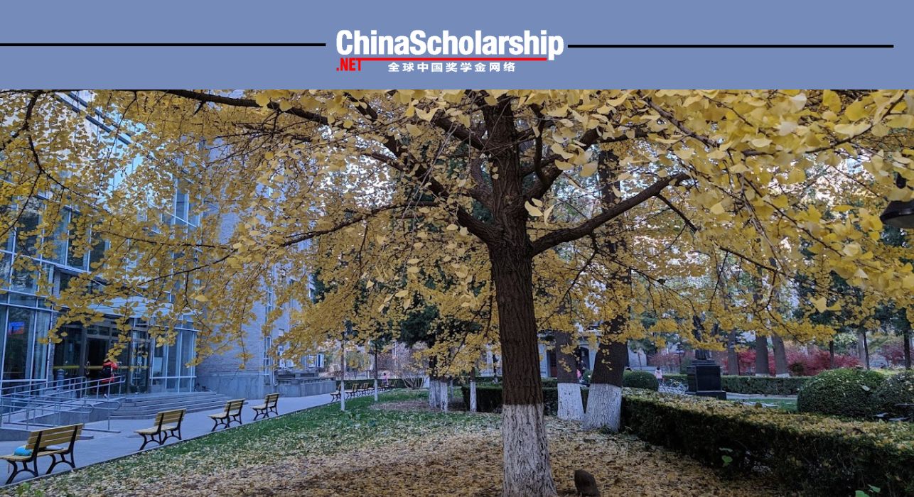 2013年北京师范大学中国政府奖学金（孔子学院奖学金）项目 - China Scholarship - Study in China-China Scholarship - Study in China