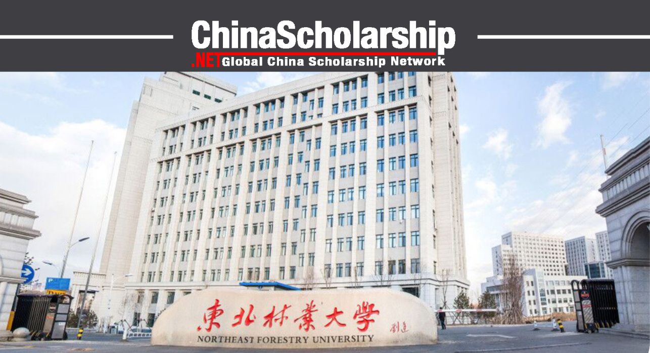 2023年东北林业大学汉语言留学项目 - China Scholarship - Study in China-China Scholarship - Study in China