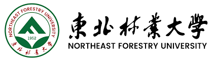 2023年东北林业大学汉语言留学项目