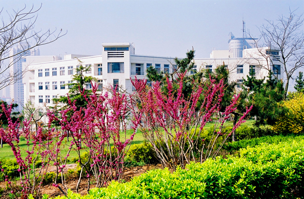 2019 Qingdao University for Confucius Institute Scholarship