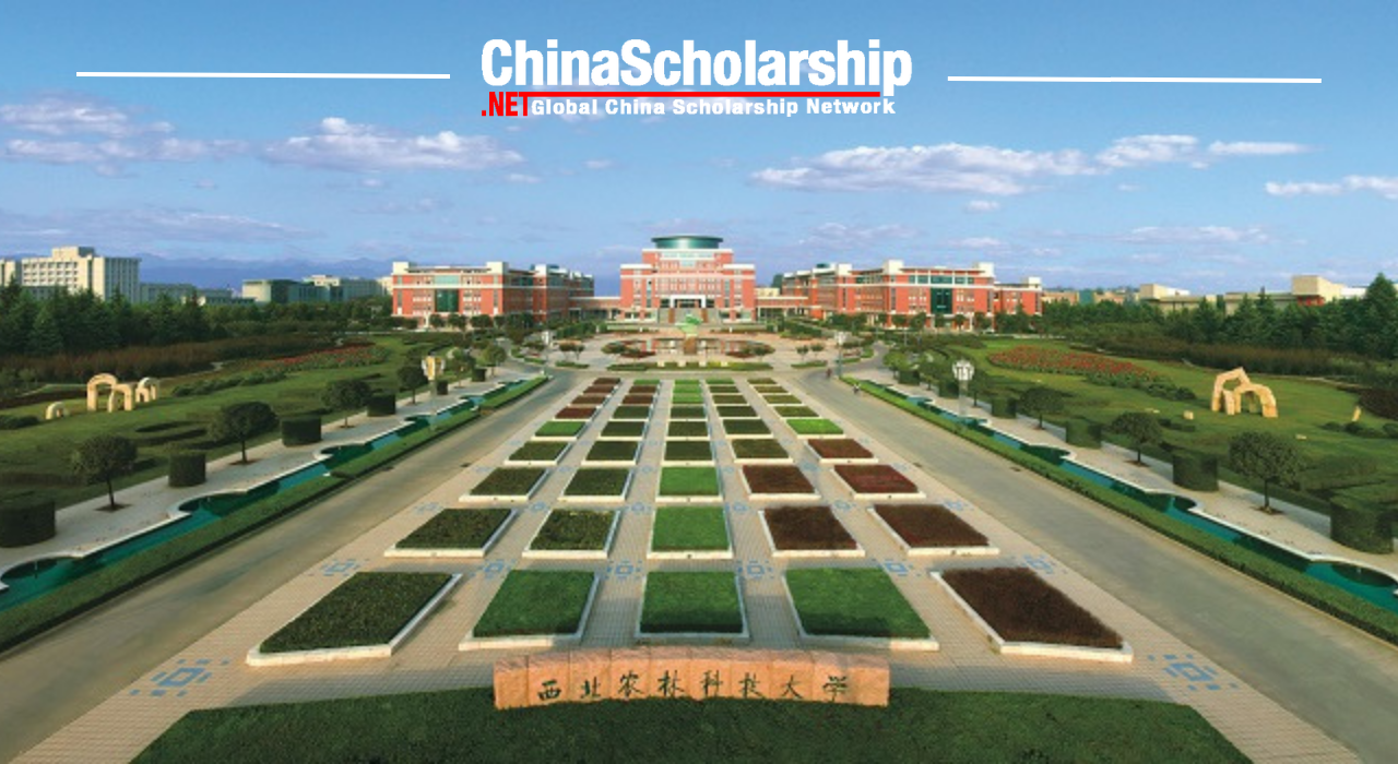 2023 Northwest A&F University for Chinese Government Scholarship - China Scholarship - Study in China-China Scholarship - Study in China