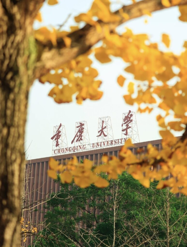 图片[3]-2023年重庆大学来华留学生中国政府奖学金A类国别双边项目