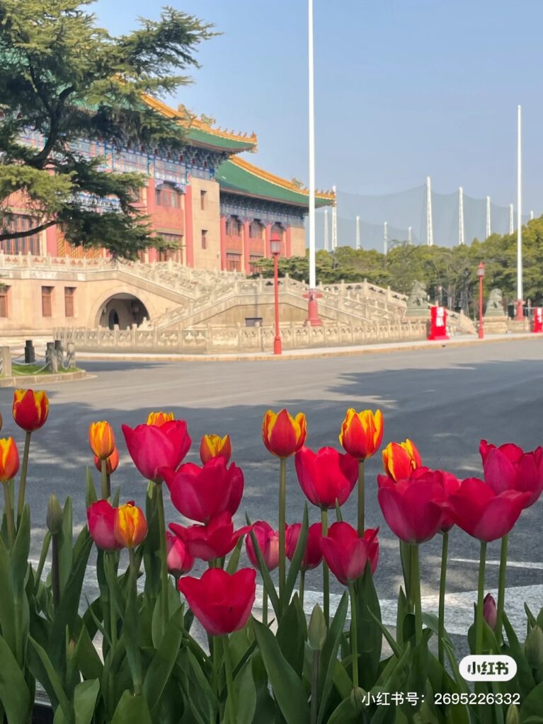 图片[3]-2022 2023年度上海体育学院中国政府奖学金​高校研究生项目录取名单的通知