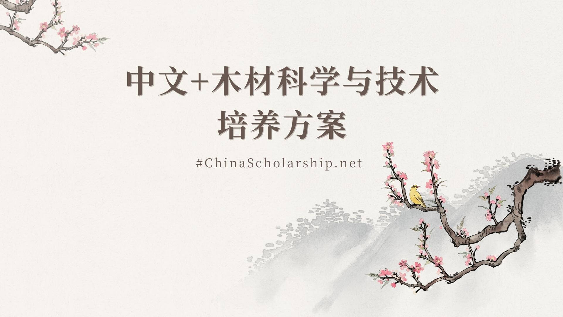 中文+木材科学与技术培养方案 - China Scholarship - Study in China-China Scholarship - Study in China